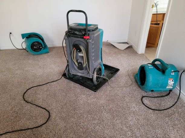 Water damage restoration mold remediation in Gunnison, UT