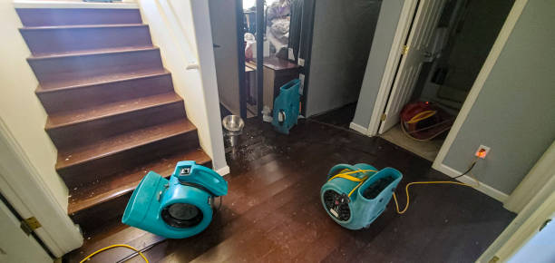 Best Fire Damage Restoration  in Gunnison, UT
