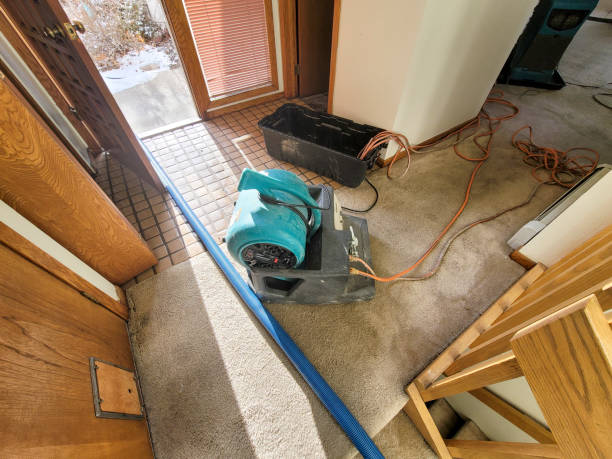 Best Emergency water damage restoration  in Gunnison, UT