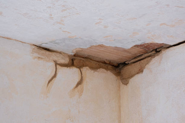 Best Water damage restoration near me  in Gunnison, UT
