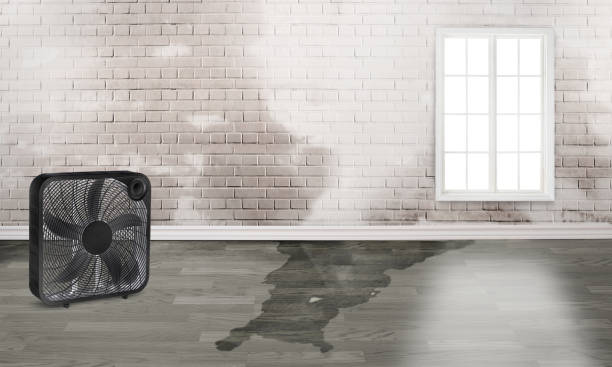 Local water damage restoration in Gunnison, UT
