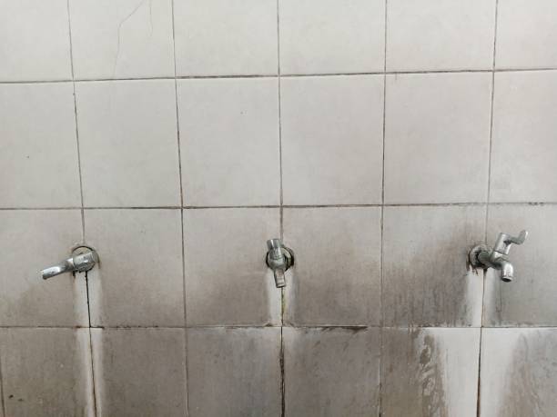 Best Professional water damage repair  in Gunnison, UT