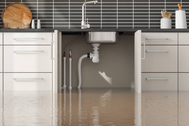Best Residential water damage restoration  in Gunnison, UT