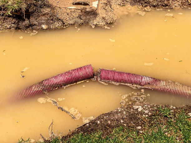 Best Water damage contractors near me  in Gunnison, UT