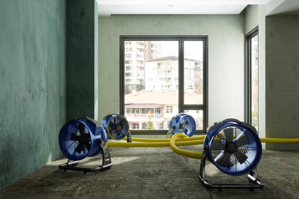 Best Water damage cleanup near me  in Gunnison, UT