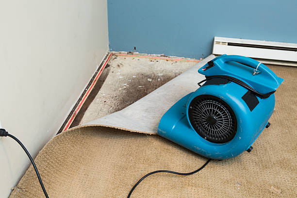 Best Ceiling water damage repair  in Gunnison, UT
